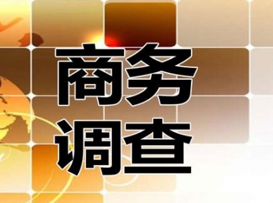 上海商务调查