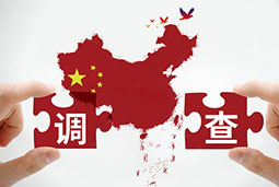 上海市场调研